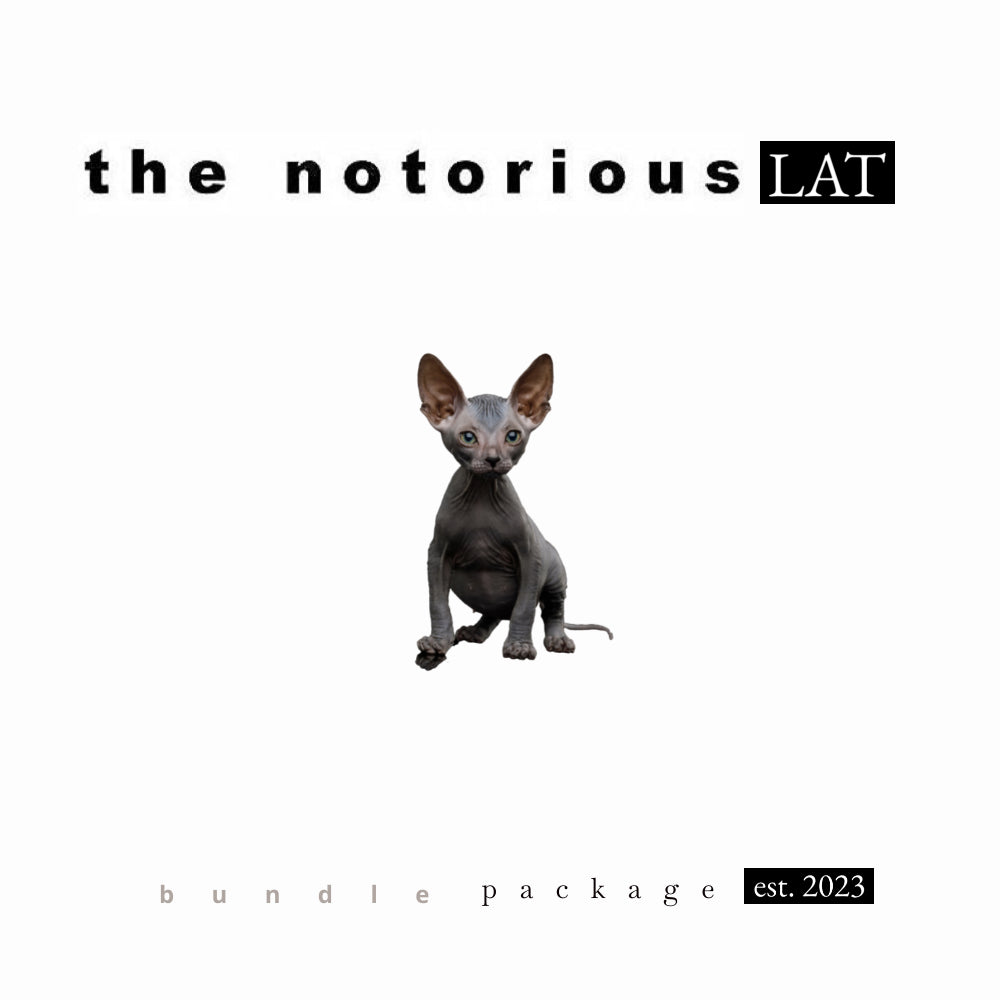 Puffco Proxy Vaporizer Kit w/ Custom Hammer Pipe