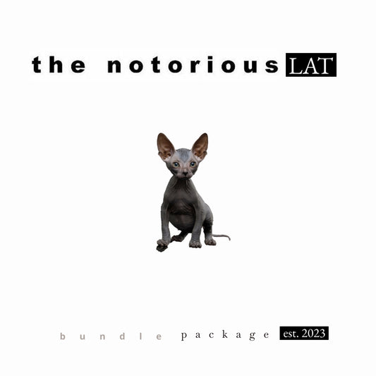 Stundenglass Gravity Infuser w/ Ash Catcher