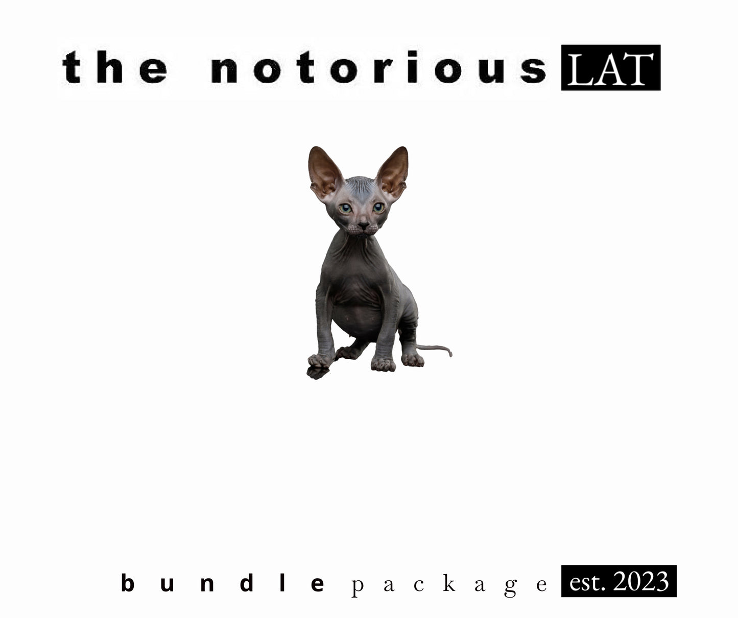 Puffco Proxy Kit w/ Proxy Ryan Fitt Recycler