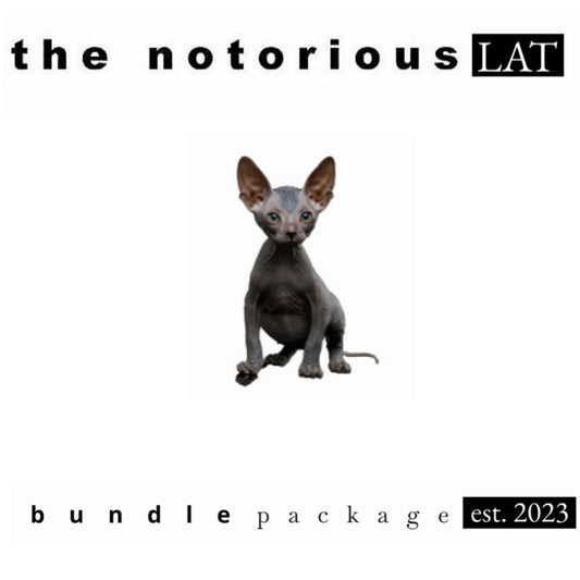 Puffco Peak Pro V2 Pearl w/ Travel Glass