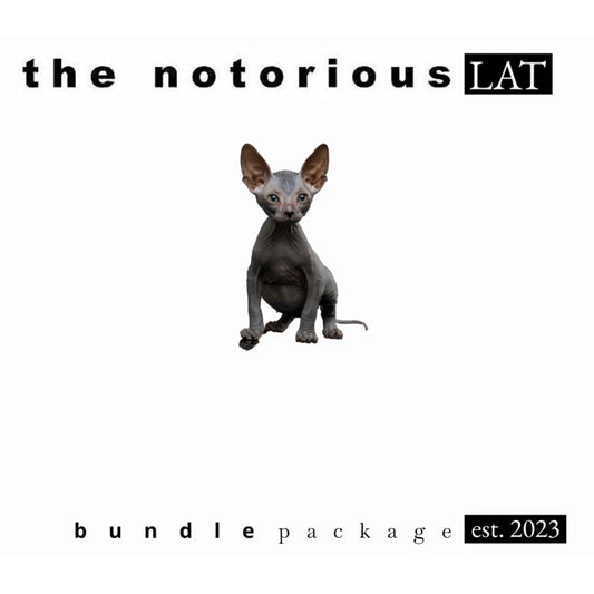 Notorious LAT Bundle | Vessel Compass Rise + Apex Charger
