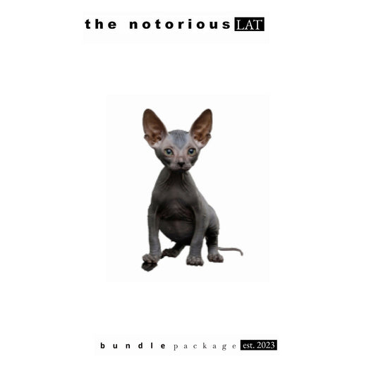 GRAV® ORACLE WATER PIPE w/ G PEN HYER