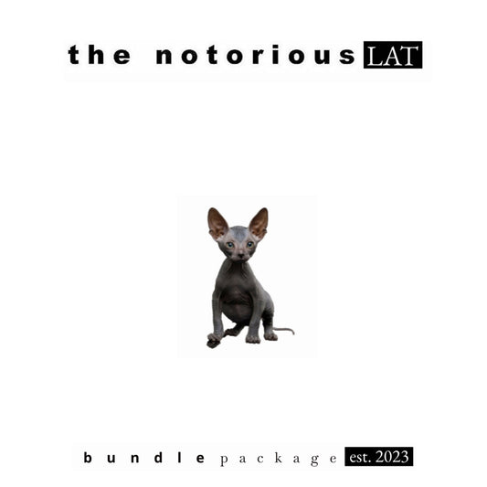 Kompact Pink Summer of Love x Stundenglass Gravity Infuser w/ G Pen HYER