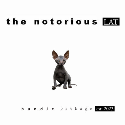 Puffco Proxy Vaporizer Kit w/ iDab Proxy Worked Glass Pipe