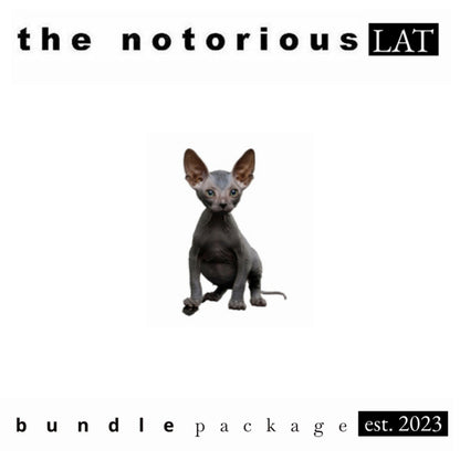 Puffco Peak Pro V2 - Onyx w/ Travel Glass