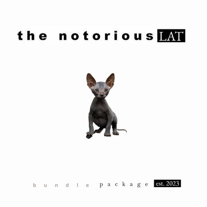 Stundenglass Gravity Infuser w/ Ash Catcher