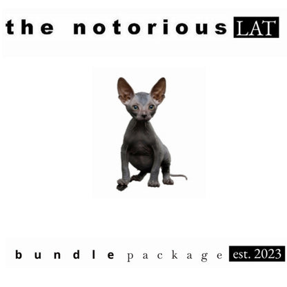 Puffco Peak Pro V2 Pearl w/ Travel Glass