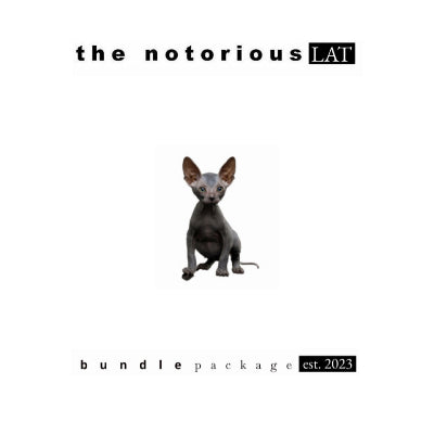 Vessel Wood [Slate/Walnut] w/ Rover Case