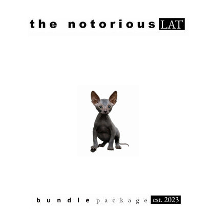 Kompact Pink Summer of Love x Stundenglass Gravity Infuser w/ G Pen HYER